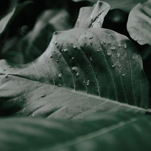 microcreche-nature-messery